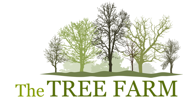 The Tree Farm logo