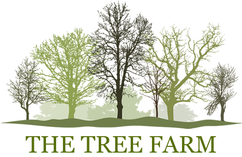 The Tree Farm Logo